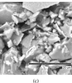 Gambar 4. Hasil Uji SEM nanopartikel magnetite untuk pembesaran (a). 2 mm, (b). 200 µm  
