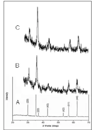 Gambar  3.  Pola  Difraksi  Sinar-X    nanopartikel  besi  oksida  sesudah  iradiasi  selama  30  menit  untuk  sampel  kering  (B),  sampel  basah  (C) dibandingkan terhadap  Fe3O4/γ-Fe2O3   acuan (A)