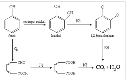 Gambar 1. Mekanisme oksidasi fenol oleh ozon.