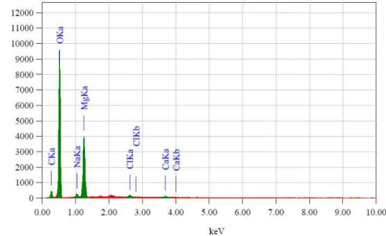 Gambar 9. Gambar Hasil Analisis EDS konsentrasi larutan 3000 ppm  Tabel 1.  Hasil analisa mikro kristal Magnesium karbonat laju alir 30 