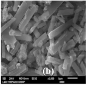 Gambar 8. Morfologi kerak Magnesium karbonat hasil percobaan dengan variasi  konsentrasi larutan (a) 3000 ppm (b) 4000 ppm