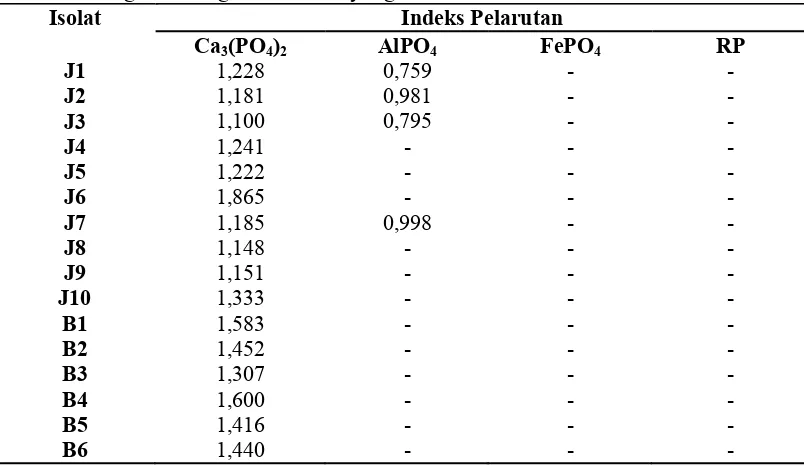Tabel 3. Hasil pengukuran indeks pelarutan dalam media Pikovskaya padat  dengan berbagai sumber P yang berbeda 