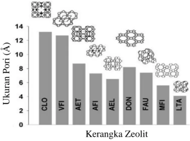 Gambar  2.  4  Perbandingan  ukuran  pori  dari  struktur  kerangka  yang berbeda (Auerbach dkk., 2003)