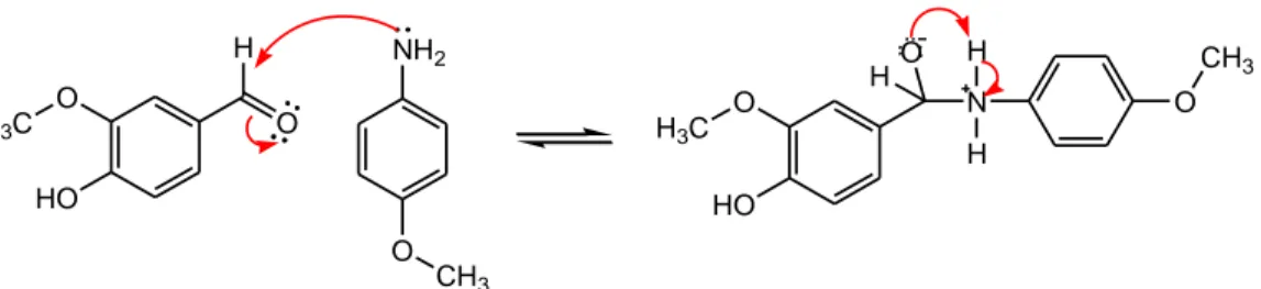 Gambar 2.7 Reaksi pembentukan senyawa basa Schiff menggunakan katalis asam   (Khasanuddin, 2018)
