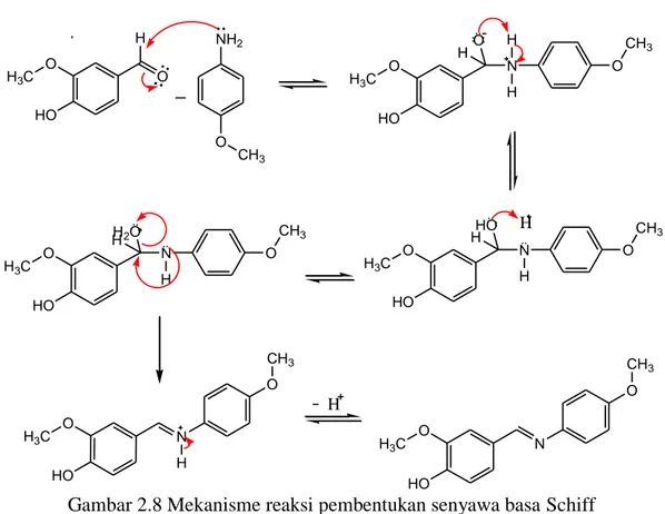 Gambar 2.8 Mekanisme reaksi pembentukan senyawa basa Schiff  (Khasanuddin, 2018) 