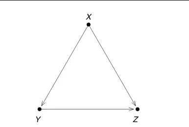 Figure 4Path model. The relationship betweenis confounded by Y and Z X. Free arrows leading into Y and Z arenot shown