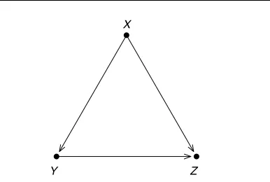 Figure 4Path model. The relationship betweenis confounded by Y and Z X. Free arrows leading into Y and Z arenot shown