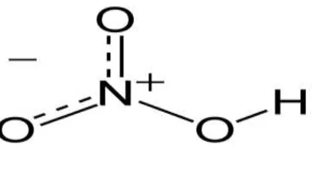 Gambar 6. Rumus Molekul Asam Nitrat 