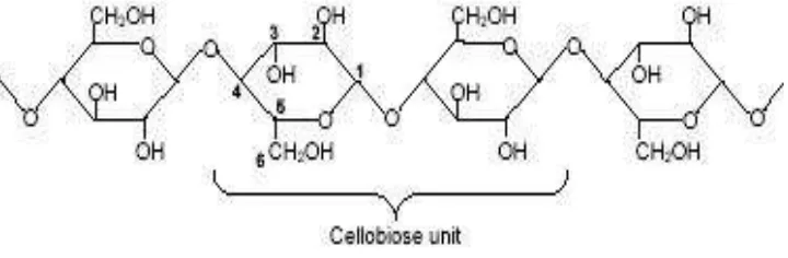 Gambar  5. Struktur selulosa 