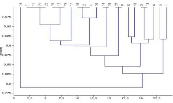 Gambar 1. Dendrogram hasil analisis Cluster Q-mode 