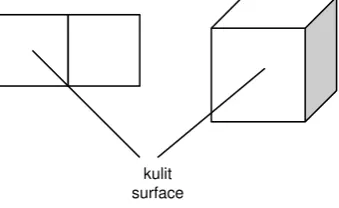 Gambar 7-3 Polygon 