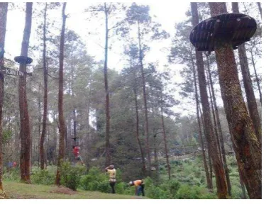 Gambar II.10 Flying Fox 