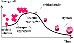 FIG. 13: Energy-barrier overcoming in protein crystallizationprocess.