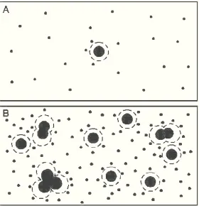 FIG. 4: Two consecutive snapshots of the FP&S type picturesin two diﬀerent stages (A - early stage, B - late stage), show-markedly diminishes in the course of time)