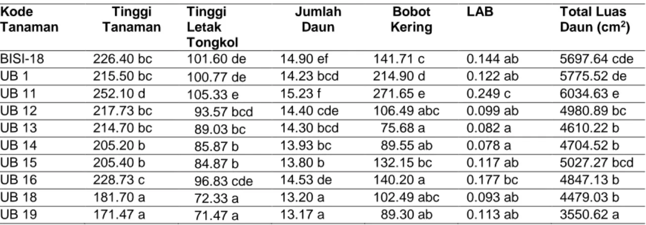 Tabel 1. Karakter Pertumbuhan 10 Calon Varietas Jagung yang di Uji pada Lahan Masam  Kode  Tanaman  Tinggi  Tanaman  Tinggi Letak  Tongkol  Jumlah Daun  Bobot  Kering 