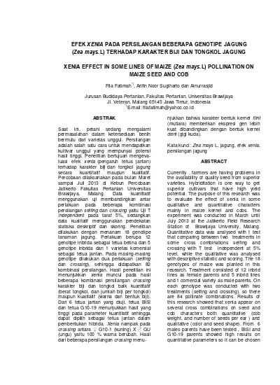 Efek Xenia Pada Persilangan Beberapa Genotipe Jagung (Zea Mays.l ...