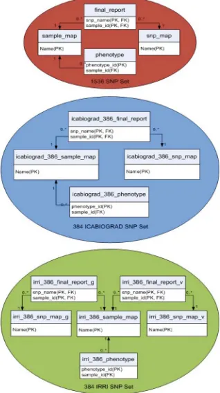 Fig. 2. Rice genetic and phenotypic database