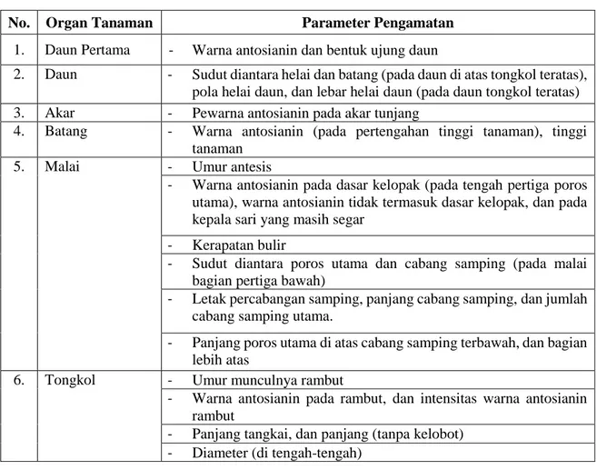 Tabel 1. Pengamatan Karakteristik Tanaman Jagung 