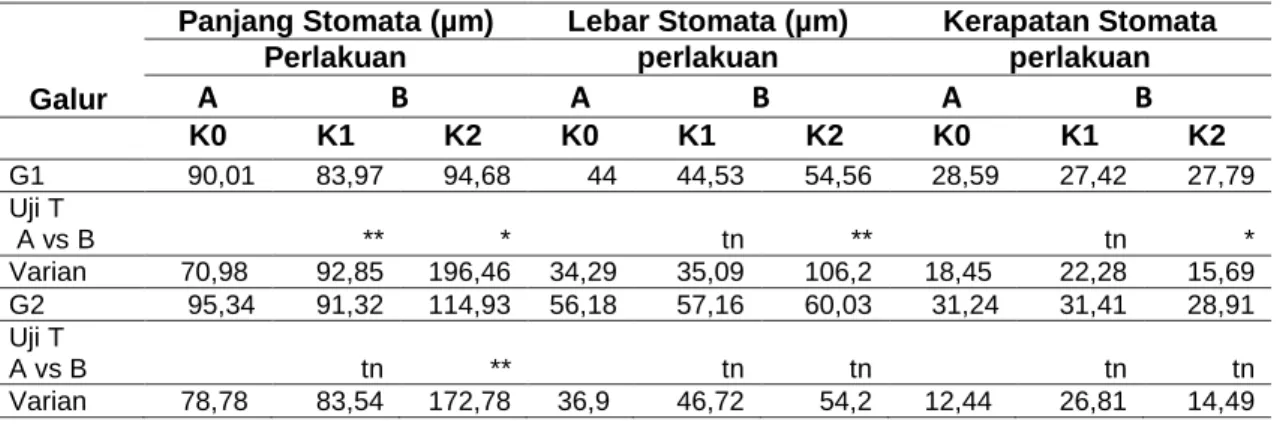 Tabel 3 Pengaruh Perlakuan Kolkhisin Terhadap Rerata Panjang, Lebar dan Kerapatan Stomata    Daun Tanaman Jagung 