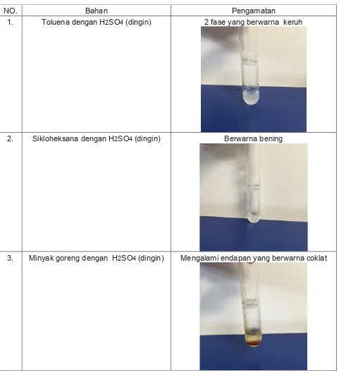 Tabel 4. Hasil pengamatan dari reaksi dengan H2SO4  