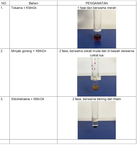 Tabel 3. Hasil pengamatan dari Reaksi dengan KMnO4 