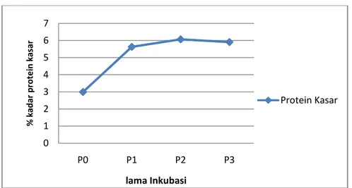 Gambar 3. Kurva Pengaruh Waktu  Inkubasi  terhadap Kandungan Protein    Kasar Tongkol Jagung 