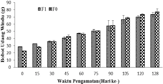 Gambar 1. Pola pertumbuhan calon induk udang windu (Penaeus monodon)  transgenik                    generasi F 0  dan  F 1  yang dipeliharan di tambak selama 128 pemeliharaan