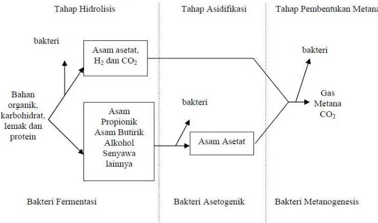 Gambar 2.1 Skema Pembentukan Biogas (Sufyandi, 2001)