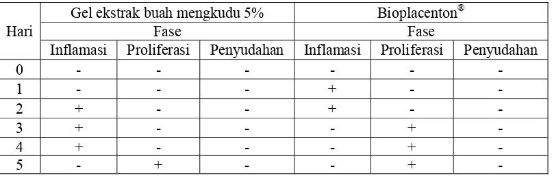 Tabel 4.5 Proses penyembuhan luka bakar dari gel ekstrak buah mengkudu 5% dan sediaan gel di pasaran (Bioplacenton®)  