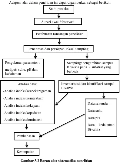 Gambar 3.2 Bagan alur sistematika penelitian 