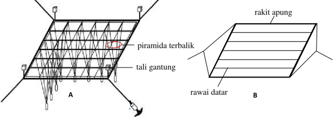 Gambar 3.   Skema peralatan budidaya metode piramida terbalik (A) dan metode rawai datar pada rakit apung  (B); tali gantung dan rawai datar digunakan untuk mengikat bibit rumput laut