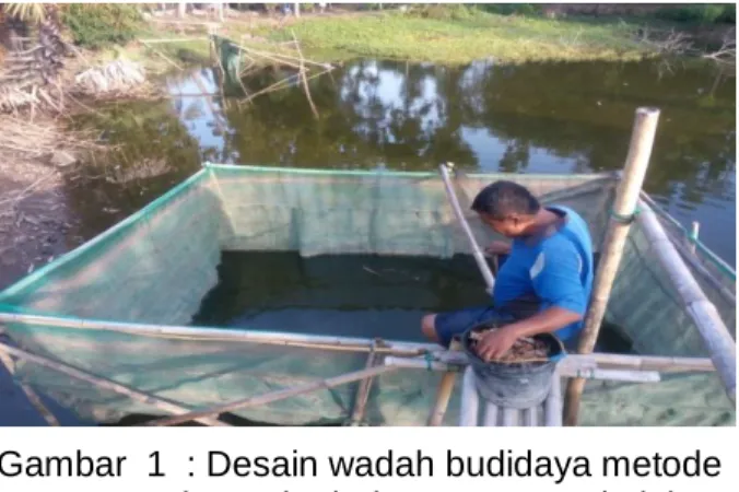 Gambar  1  : Desain wadah budidaya metode  karamba jaring tancap pada lahan  terlantar bekas galian batu merah 