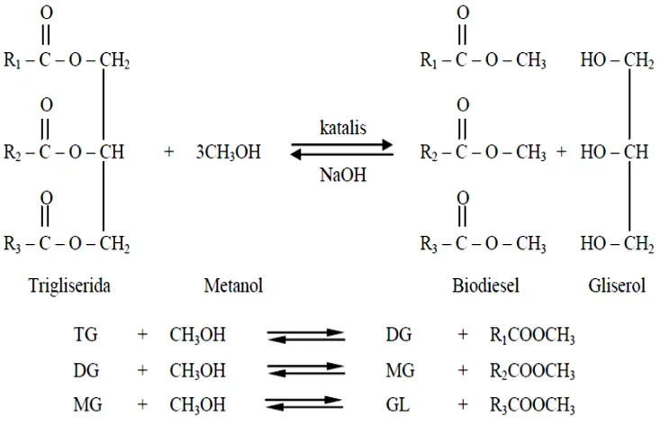 Gambar 2. Reaksi Transesterifikasi 