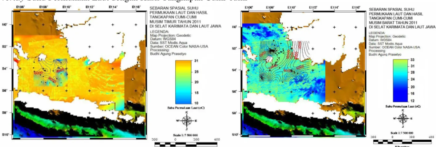 Gambar 3. Peta Overlay antara Sebaran Spasial Suhu Permukaan Laut dengan Hasil Tangkapan Cumi-cumi  Tahun 2011 di Selat Karimata hingga Laut Jawa 