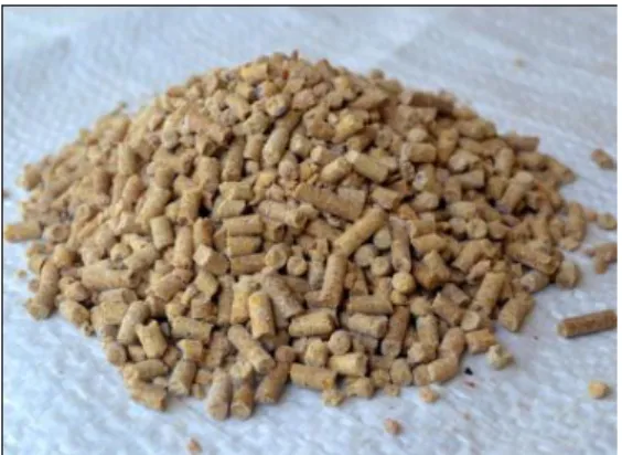 Gambar 3. Pakan pellet 