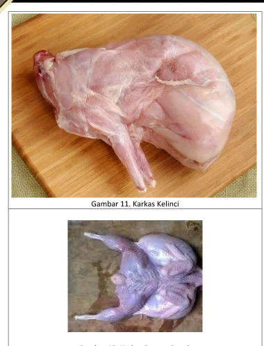Gambar 11. Karkas Kelinci 