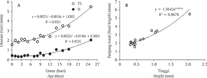 Figure 4. Growth rate in length and height of larval of letter six (A); correlation between length and height larval of letter six (B)Ukuran (Size) (mm) Umur (hari)Age (days)6003A5432169 12 15 18 21 24 27y = 0.0057x2 – 0.0018x + 1.8303R2 = 0.9551y = 0.0032