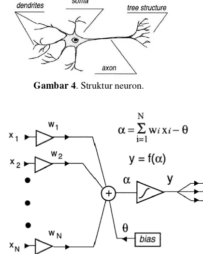 Gambar 4. Struktur neuron. 