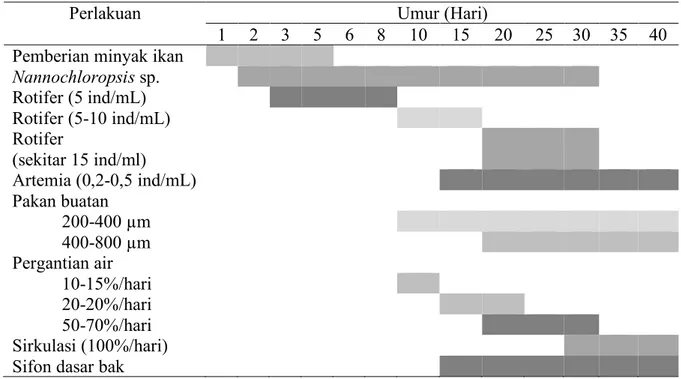 Tabel 1. Tahapan pemberian minyak, pakan dan pergantian air pada pemeliharaan larva ikan  kerapu cantik