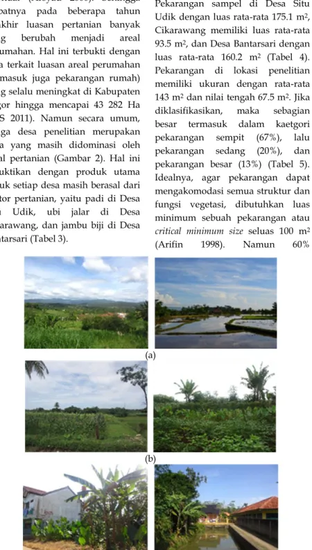 Gambar 2 Kondisi umum lanskap pertanian di Desa Situ Udik (a), Desa  Cikarawang (b),dan Desa Bantarsari (c) 