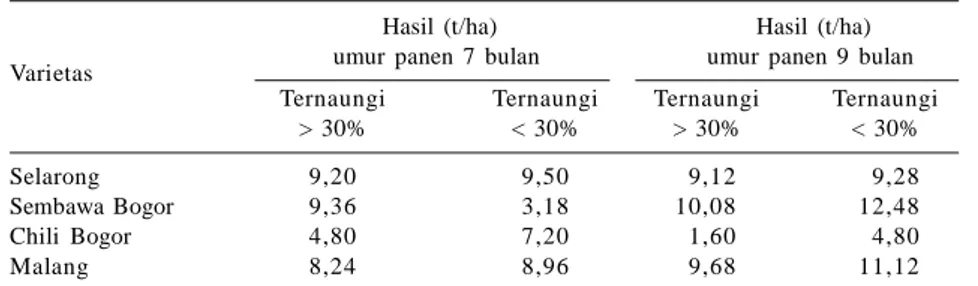 Tabel 2. Hasil  umbi  beberapa  varietas  garut  pada  lahan  ternaungi  pada umur panen 7 dan 9 bulan setelah tanam, Bantul 2006/2007.