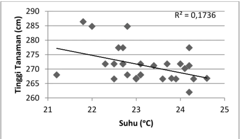 Gambar 1 Grafik korelasi tinggi tanaman terhadap suhu di Kec. Bumiaji Kota Batu 