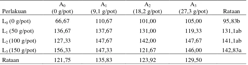 Tabel 6. Tinggi tanaman akibat aplikasi konsentrat limbah cair dan abu boiler    pabrik kelapa sawit (cm) 