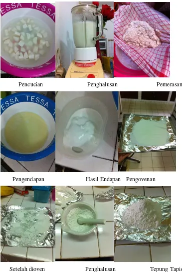 Gambar 15. Proses Pembuatan Tepung Tapioka dari Pati Singkong 