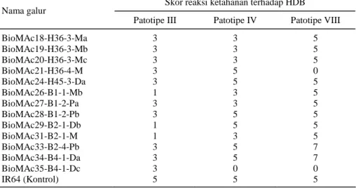 Tabel 4 menunjukkan bahwa reaksi tiga belas  galur yang diuji terhadap tiga patotipe hawar daun  bakteri tersebut sangat beragam