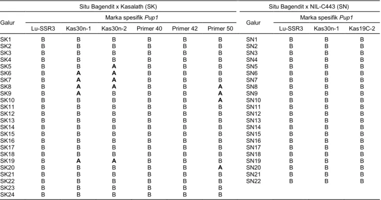 Tabel 1.  Uji marka spesifik lokus Pup1 pada tanaman BC 2 F 6  persilangan Situ Bagendit dengan Kasalath atau NIL-C443