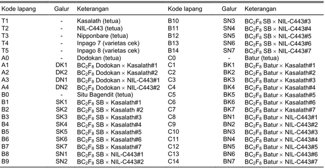 Tabel 1.  Galur BC 2 F 8 , tetua, dan varietas cek yang digunakan pada uji daya hasil di lapang