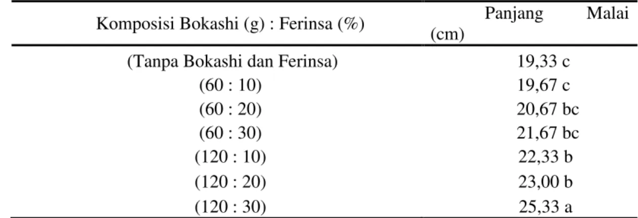 Tabel  5.    Rerata  panjang  malai  (cm)  tanaman  padi  gogo  beras  merah  yang  diberi  beberapa komposisi pupuk bokashi dan ferinsa