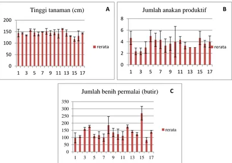 Gambar 1.  Karakter tinggi tanaman (A), jumlah anakan (B) dan jumlah benih permalai (C) antar kultivar padi  gogo lokal asal Banten  