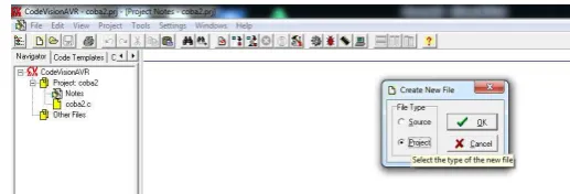 Gambar 2.12 Tampilan pembuatan file program baru 